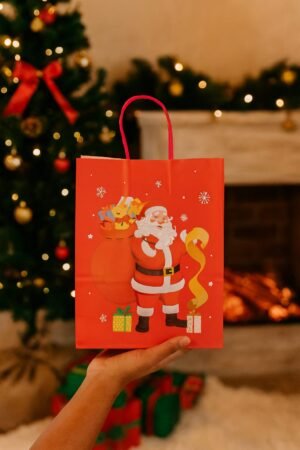WhatsApp Image 2025-12-10 at 3.03.15 PM Santa Kraft Bags