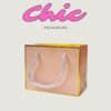 WhatsApp Image 2025-12-16 at 6.12.55 PM Chic Bags