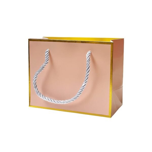 WhatsApp Image 2025-12-16 at 6.12.56 PM Chic Bags